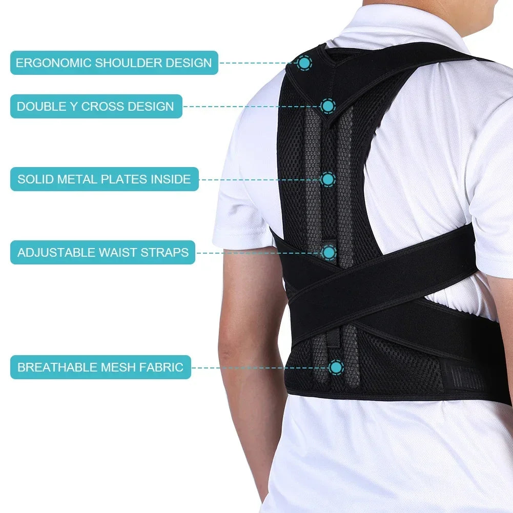 The Reinforced Lumbar Belt