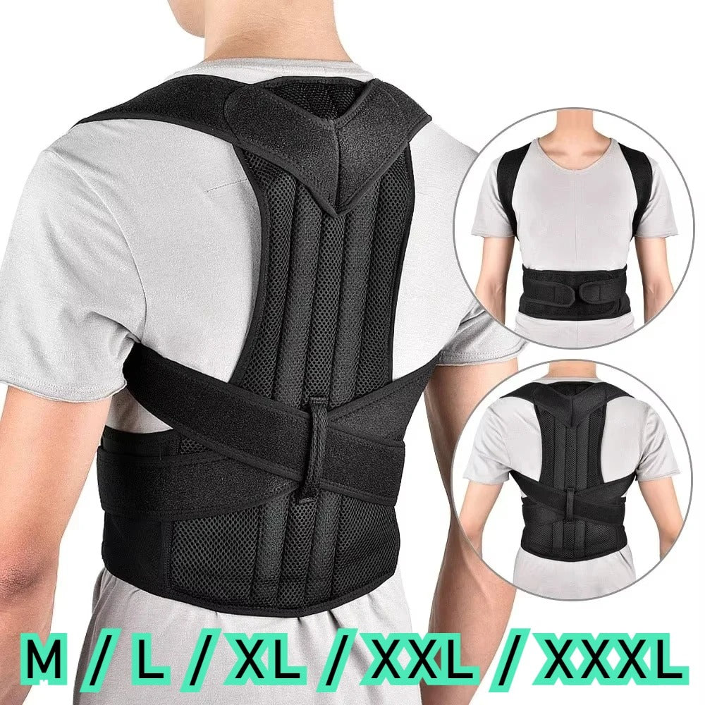 The Reinforced Lumbar Belt